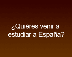 /es/asesoramiento