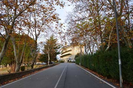 Universidad Católica de Ávila